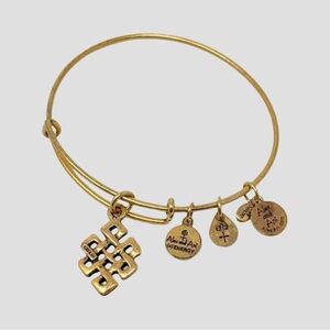 Vintage Alex and Ani Endless Knot Charm Bangle Rafaelian Gold Adjustable Bangle
